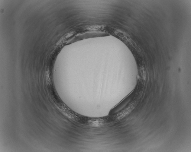 X0000067850564200605111711