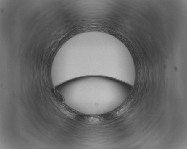 X0000067850566200605111711