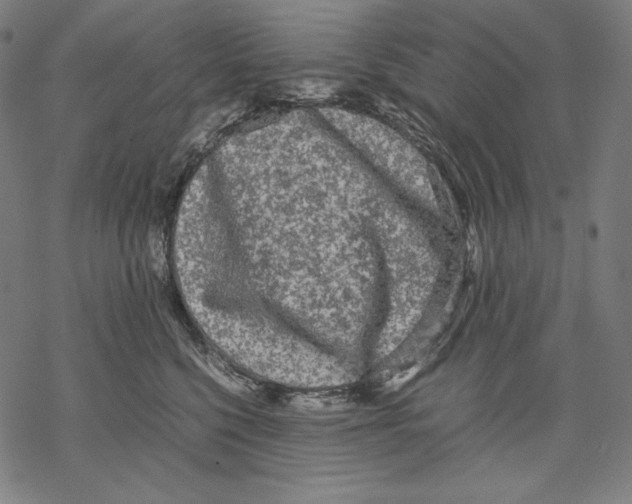 X0000067850568200605111711