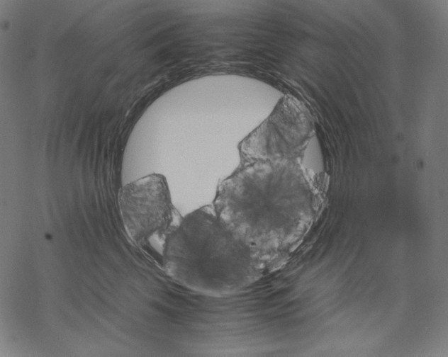 X0000067850569200605111711