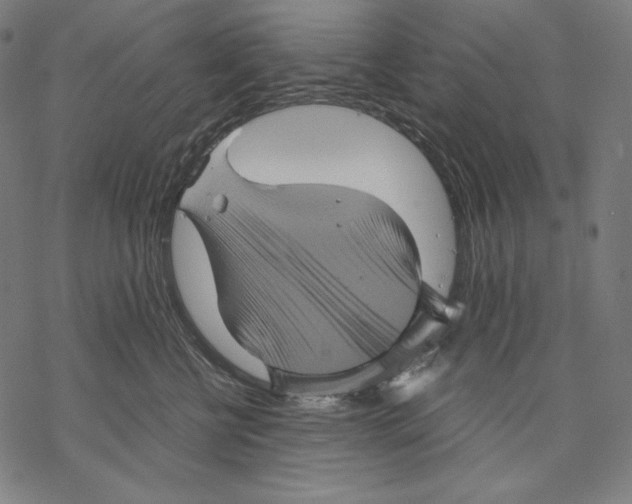 X0000067850570200605111711