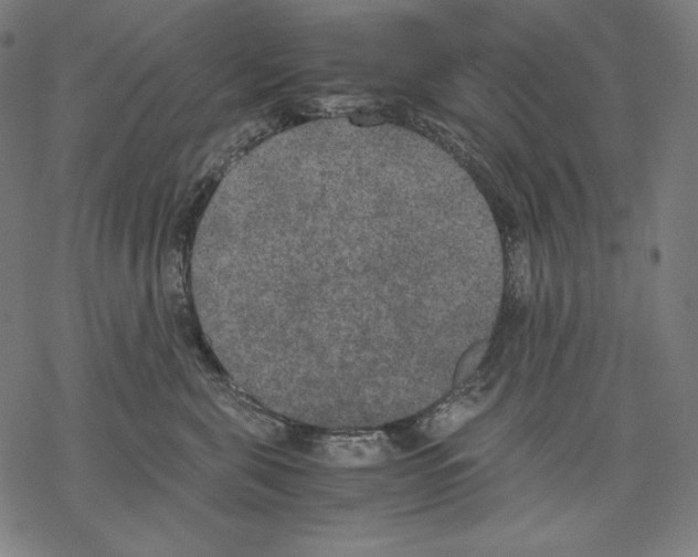 X0000067850571200605111711