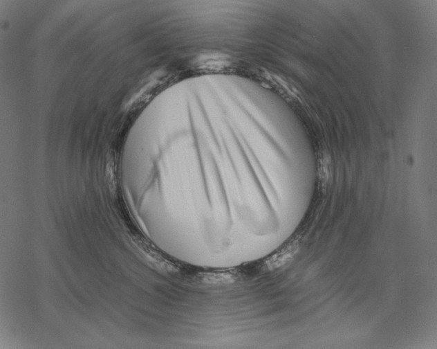 X0000067850572200605111711