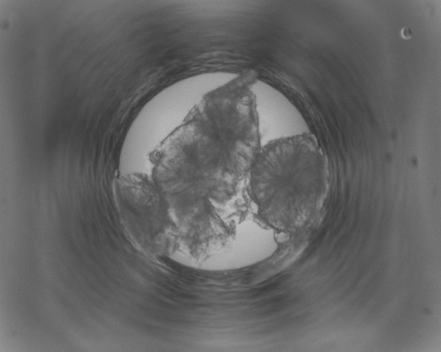 X0000067850573200605111711