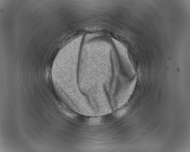 X0000067850574200605111711