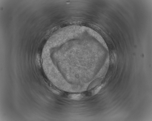 X0000067850575200605111711