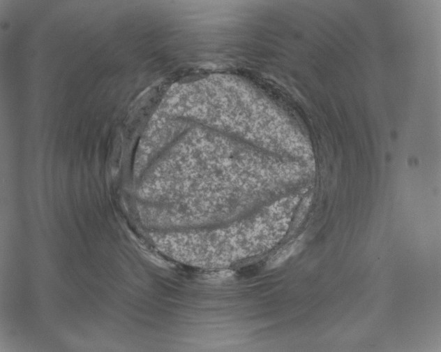 X0000067850576200605111711