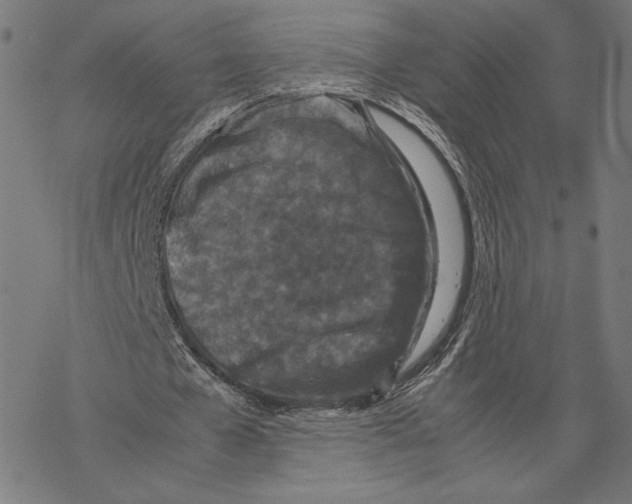 X0000067850577200605111710