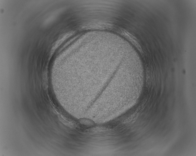 X0000067850578200605111710