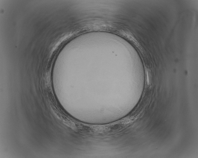 X0000067850579200605111710