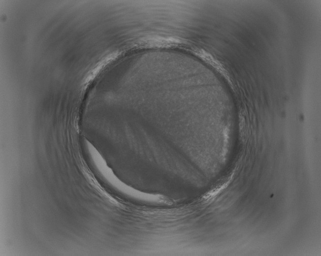 X0000067850581200605111710