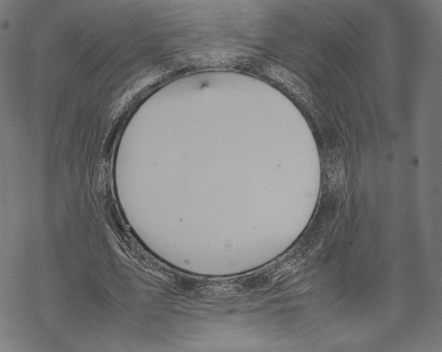 X0000067850583200605111710