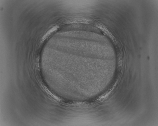 X0000067850585200605111710