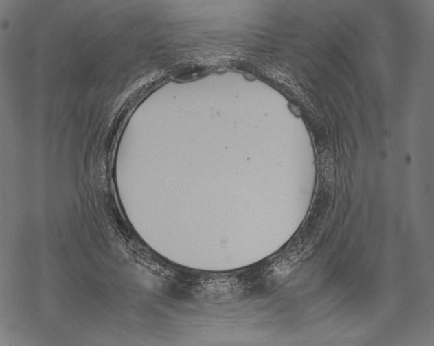 X0000067850587200605111710