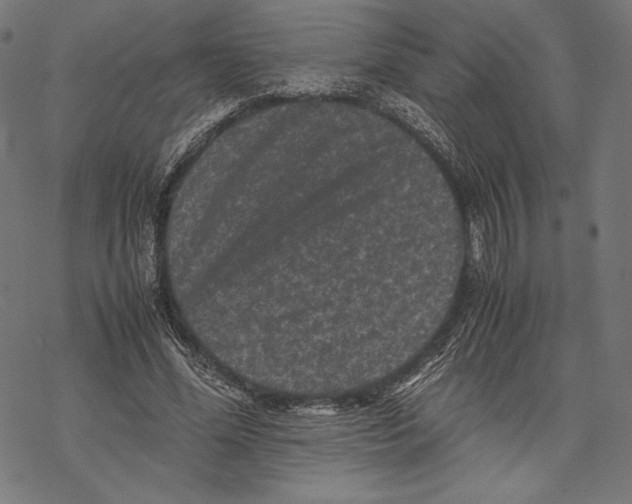 X0000067850588200605111710