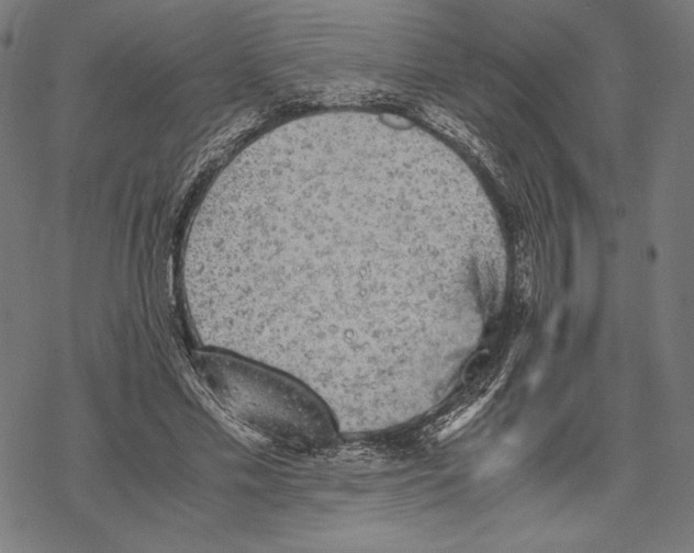 X0000067850589200605111710