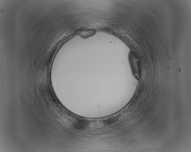 X0000067850591200605111710