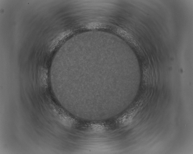 X0000067850592200605111710