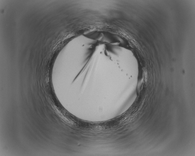 X0000067850593200605111710