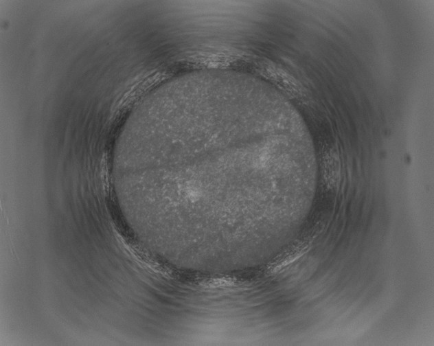 X0000067850594200605111710