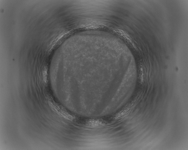 X0000067850596200605111710