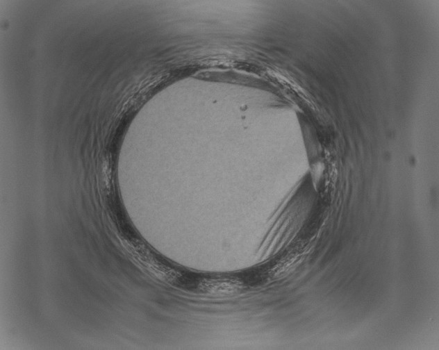 X0000067850597200605111710