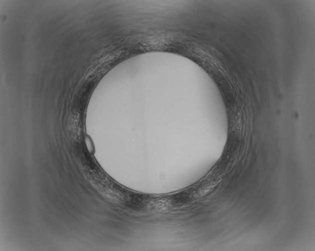 X0000067850599200605111710