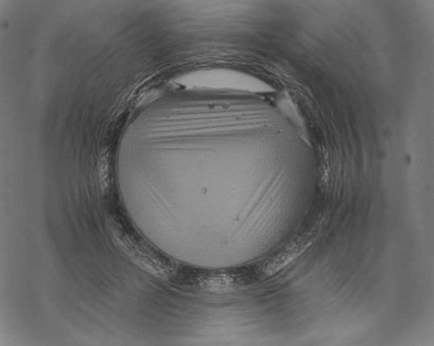 X0000067850600200605111710