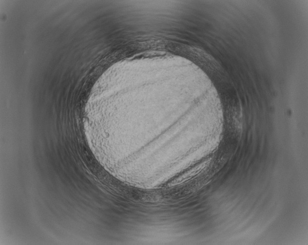 X0000067850602200605111710