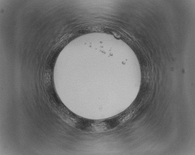 X0000067850603200605111710