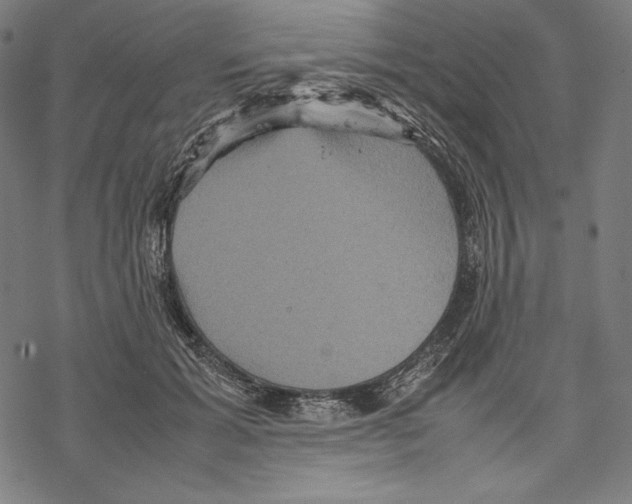 X0000067850605200605111710