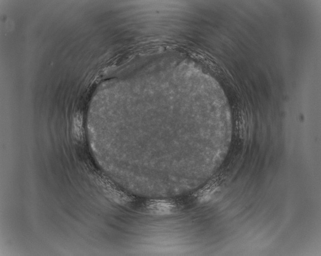 X0000067850610200605111710