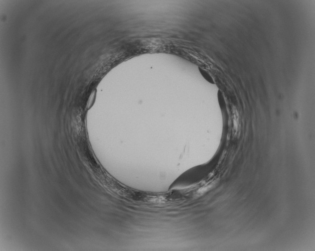 X0000067850611200605111710