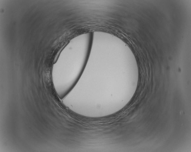 X0000067850613200605111710