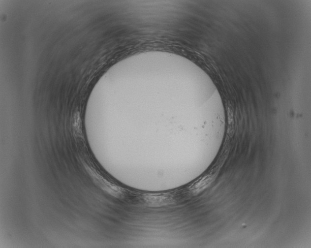 X0000067850614200605111710