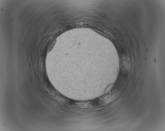 X0000067850615200605111710