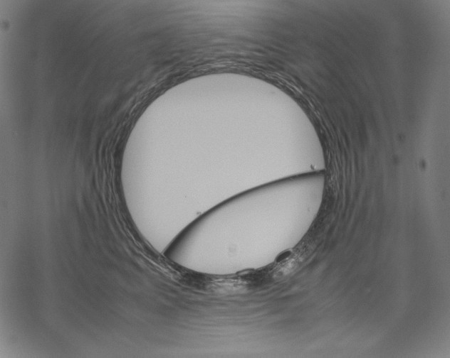 X0000067850617200605111710