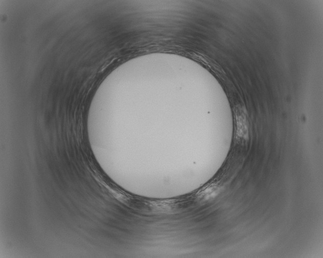 X0000067850618200605111710