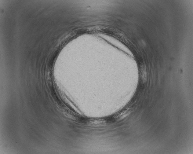 X0000067850619200605111710