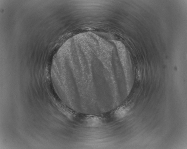 X0000067850620200605111710