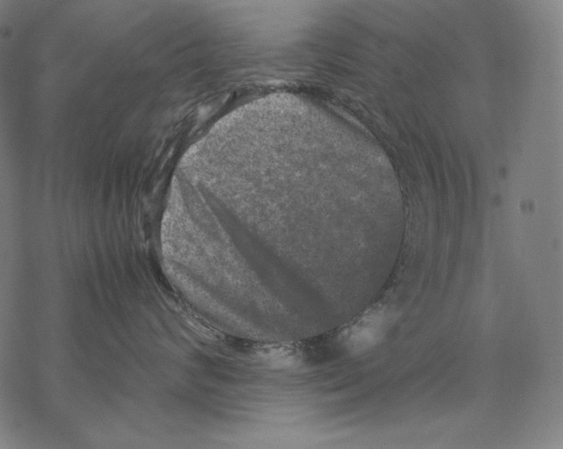 X0000067850624200605111709