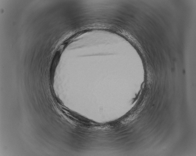 X0000067850625200605111709