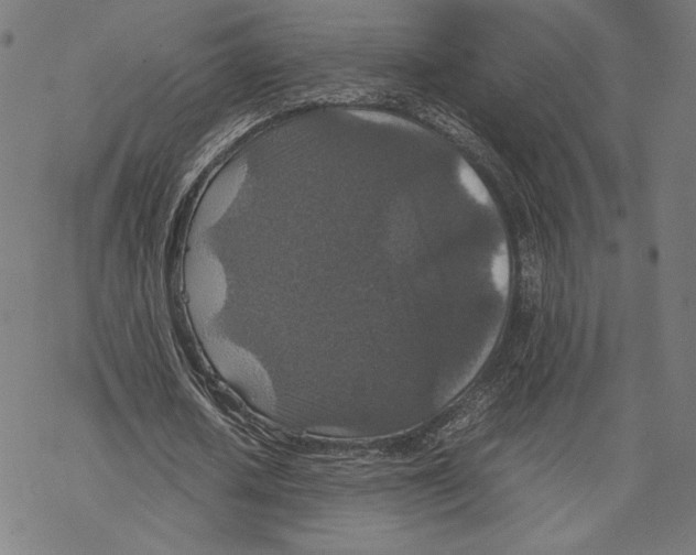 X0000067850626200605111709