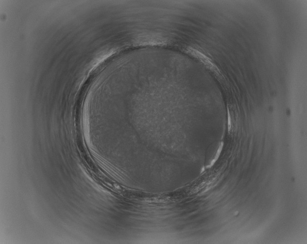 X0000067850627200605111709