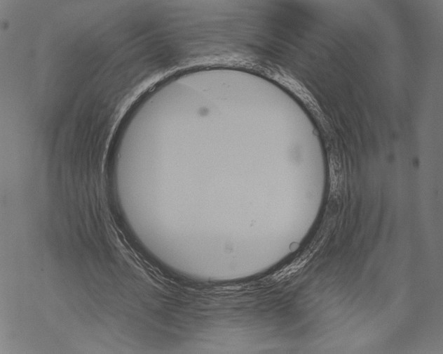 X0000067850628200605111709