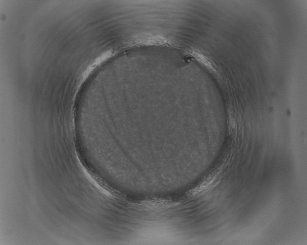 X0000067850630200605111709