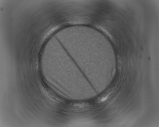 X0000067850631200605111709