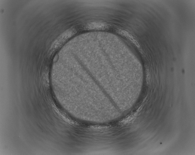 X0000067850633200605111709