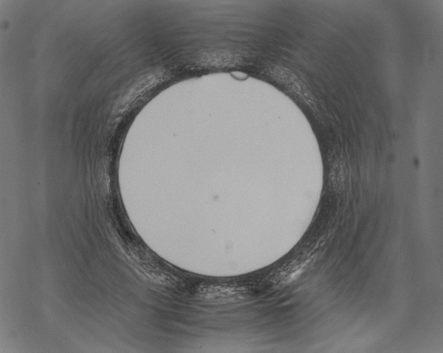 X0000067850635200605111709