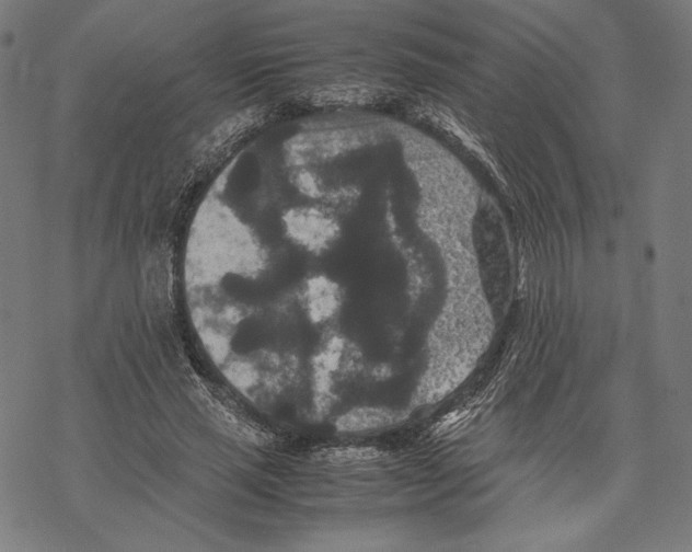 X0000067850637200605111709